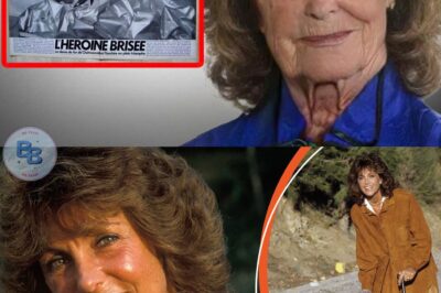 En une nuit, Chantal Nobel a perdu sa carrière et a été handicapée à 80 % à vie – À 73 ans, elle “