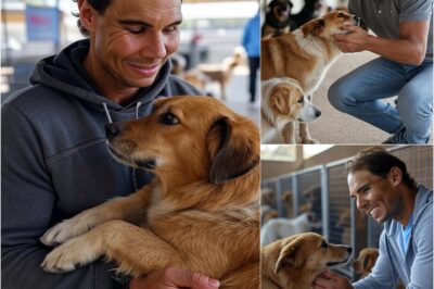 Rafael Nadal : Un héros du tennis sauve 47 chiens avec un geste bouleversant.