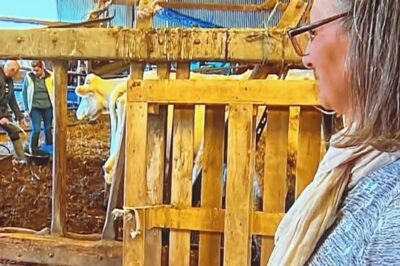 Ca ne traîne pas chez Jean-Louis (L’amour est dans le pré) ! Il affiche déjà une préférence pour une de ses prétendantes, l’autre comprend être “de trop”