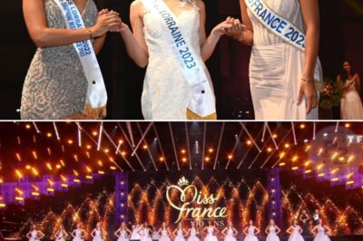 “Je suis violée”, “forcée à faire une fellation”, “prise au piège” : 60 ex Miss France témoignent sur les coulisses du concours dans un livre choc