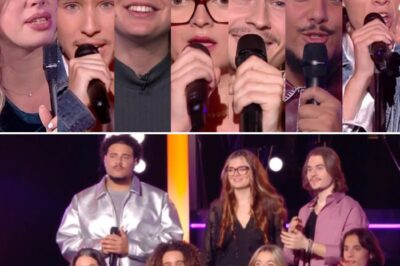 Star Academy :  une candidate de la dernière saison reprend finalement ses études