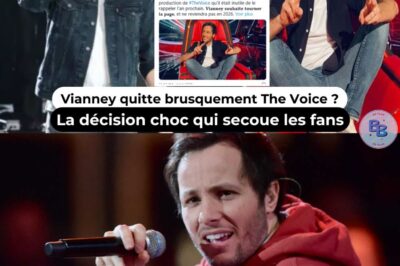 Pourquoi Vianney a-t-il brusquement quitté The Voice ? Son projet surprenant révélé
