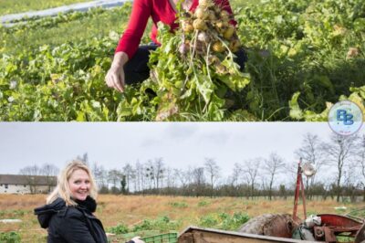 Sophie-Élodie (L’amour est dans le pré) : son appel à l’aide pour sa ferme