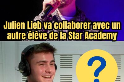 Julien Lieb va collaborer avec un autre élève de la Star Academy, mais pas avec Pierre Garnier comme le pensaient les spectateurs