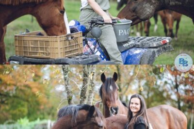 L’amour est dans le pré 2025 (portrait) : qui est Célia, l’agricultrice passionnée de chevaux ?