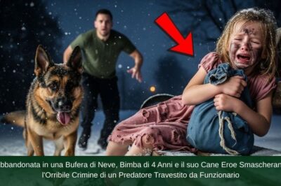 Abbandonata in una Bufera di Neve, Bimba di 4 Anni e il suo Cane Eroe Smascherano l’Orribile Crimine di un Predatore Travestito da Funzionario