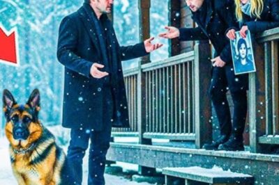 Un chien fidèle a été expulsé après la mort d’un petit garçon, jusqu’à ce que l’officier le ramène avec la preuve