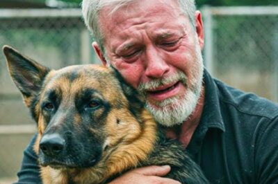 Le chien remua la queue une dernière fois, ignorant que ce serait un adieu définitif, tandis que son maître murmurait une promesse larmoyante : « Je te retrouverai un jour. » Ce n’était pas la distance qui les séparait, mais le destin. La suite vous fera pleurer.