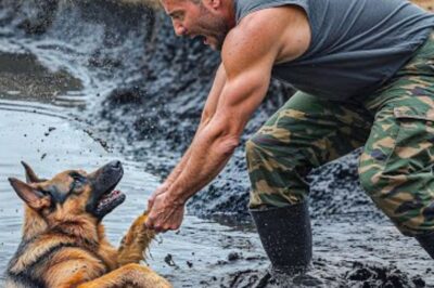 Luttant pour respirer dans la fosse à pétrole, le petit chiot a essayé de lever la tête. Mais alors qu’il coulait encore, alors qu’il était presque épuisé, un héros est soudainement apparu.