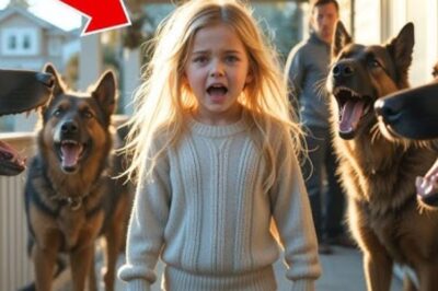 La fille a donné de l’eau au chien blessé — Le lendemain, une meute de chiens a encerclé sa ferme !