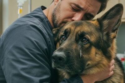 Un homme a demandé quelques minutes pour dire adieu à son chien, à qui il ne restait que quelques instants à vivre, mais soudain le vétérinaire remarqua quelque chose d’inhabituel.