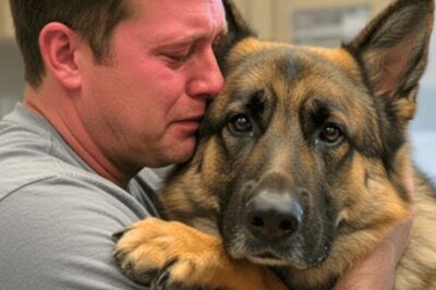 Un chien mourant fait un dernier câlin à son maître, puis le vétérinaire fait une découverte choquante
