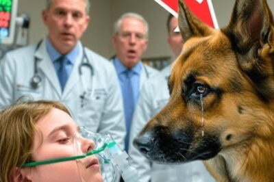 Une fille malade n’a plus que 3 minutes à vivre – Les derniers gestes d’un chien poussent les médecins à remettre en question tout ce qu’ils savent