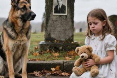 Un chien a été stupéfait lorsqu’il a vu une petite fille pleurer sur la tombe de son maître – Lorsqu’il a su la raison, il s’est effondré