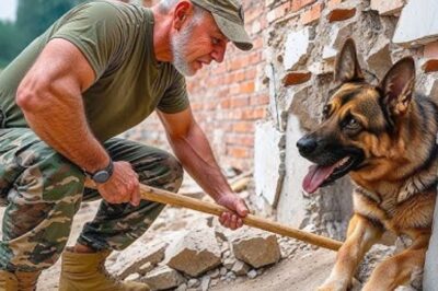 Rebel, un berger allemand de 8 mois, s’est retrouvé dans une situation fâcheuse lorsque sa tête s’est coincée dans un mur en béton. Grâce à l’intervention rapide et compétente des secours, Rebel a été secouru sain et sauf, transformant une tragédie potentielle en une histoire de sauvetage touchante.