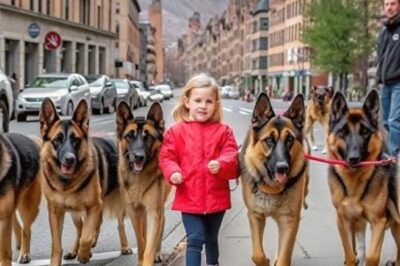 Six bergers allemands dressés ont encerclé une petite fille… Ce qui s’est passé ensuite a choqué toute la ville !