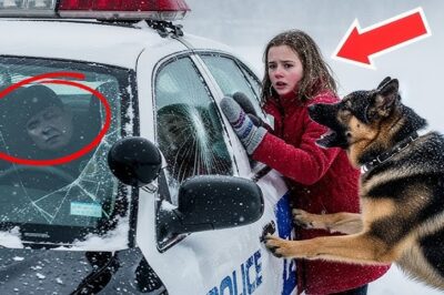 Une fille et son chien trouvent une voiture de police accidentée dans la neige — Les actions ultérieures du chien font vibrer la ville !