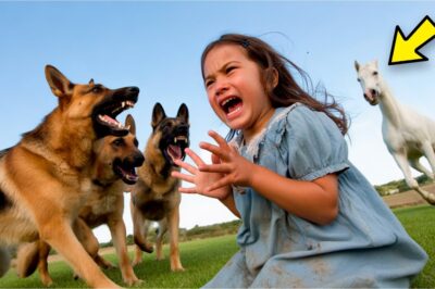 Un homme riche a lâché trois chiens affamés sur sa fille, mais le cheval a tout vu et…