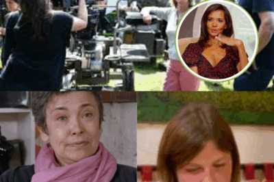 « Leur foi s’est brisée » : le producteur de L’amour est dans le pré a dévoilé une vidéo authentique décrivant l’état d’esprit des agriculteurs avant l’ouverture des lettres « inhumaines ».