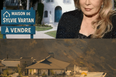La maison silencieuse de Sylvie Vartan : là où elle s’est retirée, et ce qu’elle vaut aujourd’hui