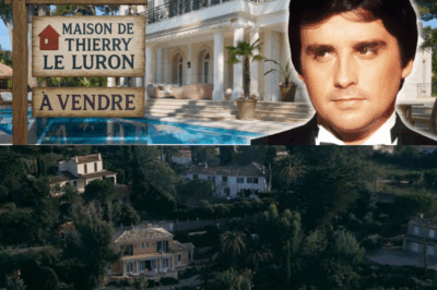 La maison de Thierry Le Luron, sa dernière demeure, où il s’est éteint seul, sans adieu public, et sans que personne ne reconnaisse l’amour de sa vie. Actuellement, avec un actif net