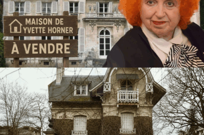 La maison abandonnée d’Yvette Horner, le seul endroit où elle se reconnaissait désormais ; et sa valeur nette
