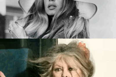 91 ans : l’adresse secrète de Bardot à Saint-Tropez dévoilé