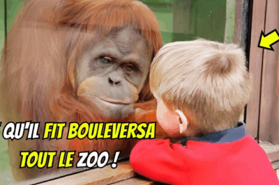 Cet enfant muet a surpris tout le zoo avec un orang outan !