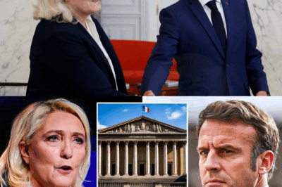 MARINE LE PEN REÇOIT un SOUTIEN inattendu – l’Élysée en panique !