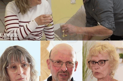 L’amour est dans le pré : La confession CHOC de Denis après le départ de Sylvie