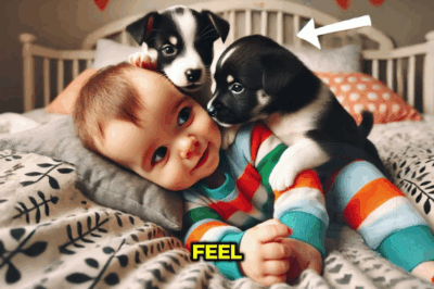 « La décision inattendue d’un père d’adopter un chien pour son fils paralysé »