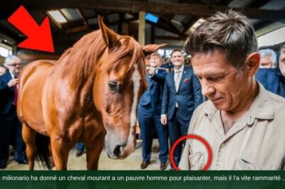 Un milionario ha donné un cheval mourant a un pauvre homme pour plaisanter, mais il l’a vite rammarité…