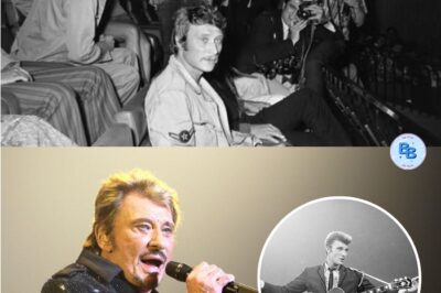 Une série documentaire sur la vie de Johnny Hallyday est en préparation