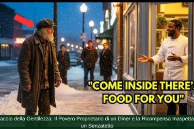 Il Miracolo della Gentilezza: Il Povero Proprietario di un Diner e la Ricompensa Inaspettata da un Senzatetto