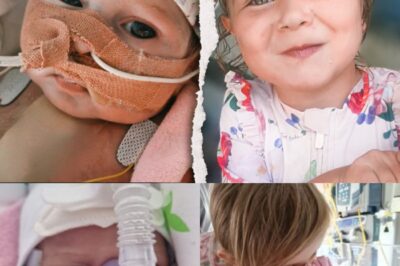 Dorotka’s Journey to Life: From Poland to Boston with Love