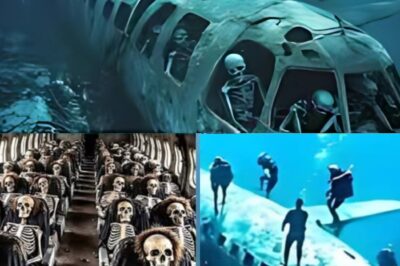 LE VOL 19 TROUVÉ – Le secret le plus effrayant du Triangle des Bermudes réapparaît… Les squelettes toujours intacts sur les sièges… Les mystères cachés sont peu à peu révélés…