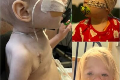 Le Fil de Vie d’Etta : Un Voyage à Travers le Courage et les Soins