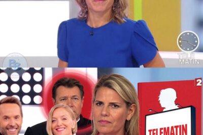 France 2 sous le choc : plainte explosive contre une chroniqueuse de télématin