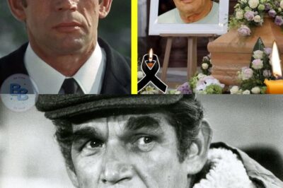 Décoder la mort tragique de Michel Constantin, un acteur à la brillante carrière.