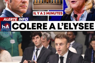 « Le Craquage » : Quand Emmanuel Macron a cédé en direct, révélant la crise la plus profonde de la Vᵉ République