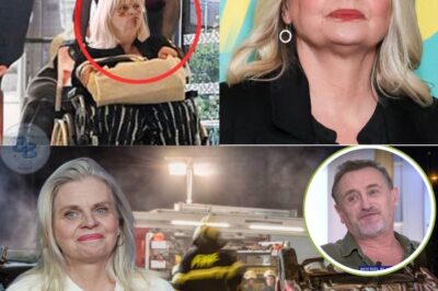 « Elle est paralysée » la triste annonce d’Isabelle Nanty après son accident.