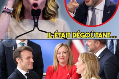 « Je ne pardonnerai jamais » : Les cinq visages de la trahison qui ont forgé la « Forteresse » Giorgia Meloni