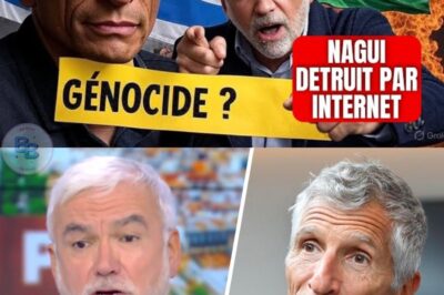 La sortie de Nagui sur la guerre qui divise Internet !