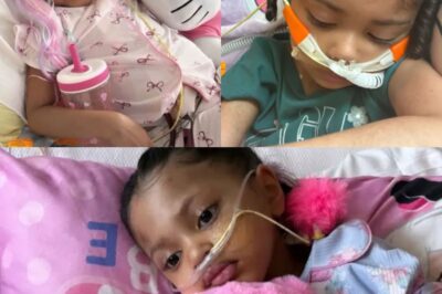 Le miracle de Melony — En attendant un nouveau cœur