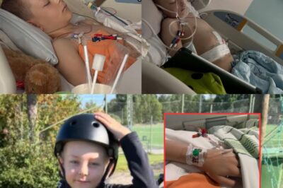 Frans — Un cœur assez fort pour la tempête