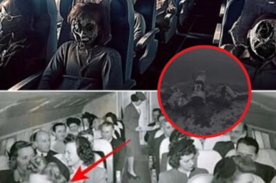 INCROYABLE : Un avion mystérieux de la Seconde Guerre mondiale exhumé après 70 ans – Que cachait-il ?