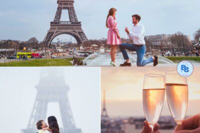 Le meilleur lieu au monde pour faire sa demande en mariage se trouve en France, et presque personne ne le soupçonne