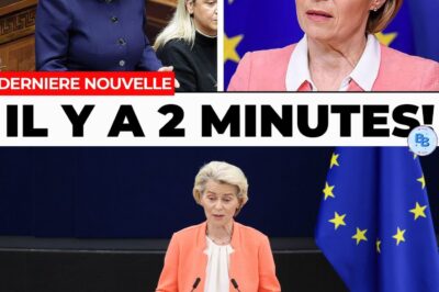Crise de l’UE : L’Irlande déclenche la révolte, Von der Leyen perd le contrôle face à un “Irexist” imminent