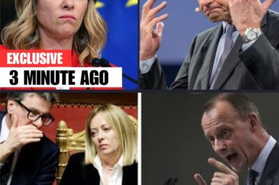 ONDE DE CHOC EU Meloni vient de révéler ce que Merz a essayé de CACHER !