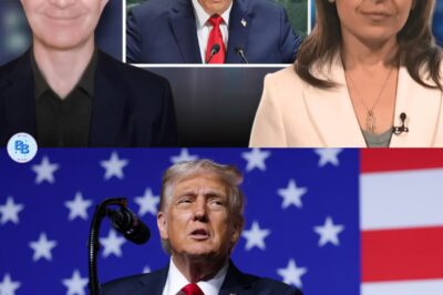 Trump secoue l’ONU : “L’Occident récompense le terrorisme” – L’analyse choc de Douglas Murray